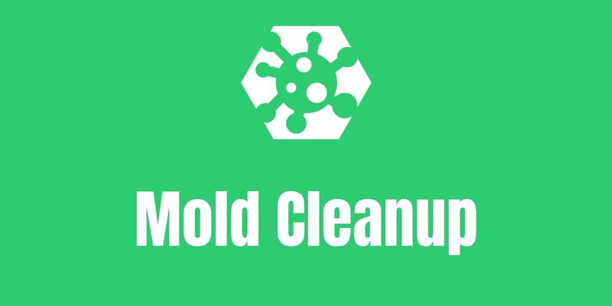 Mold Cleanup