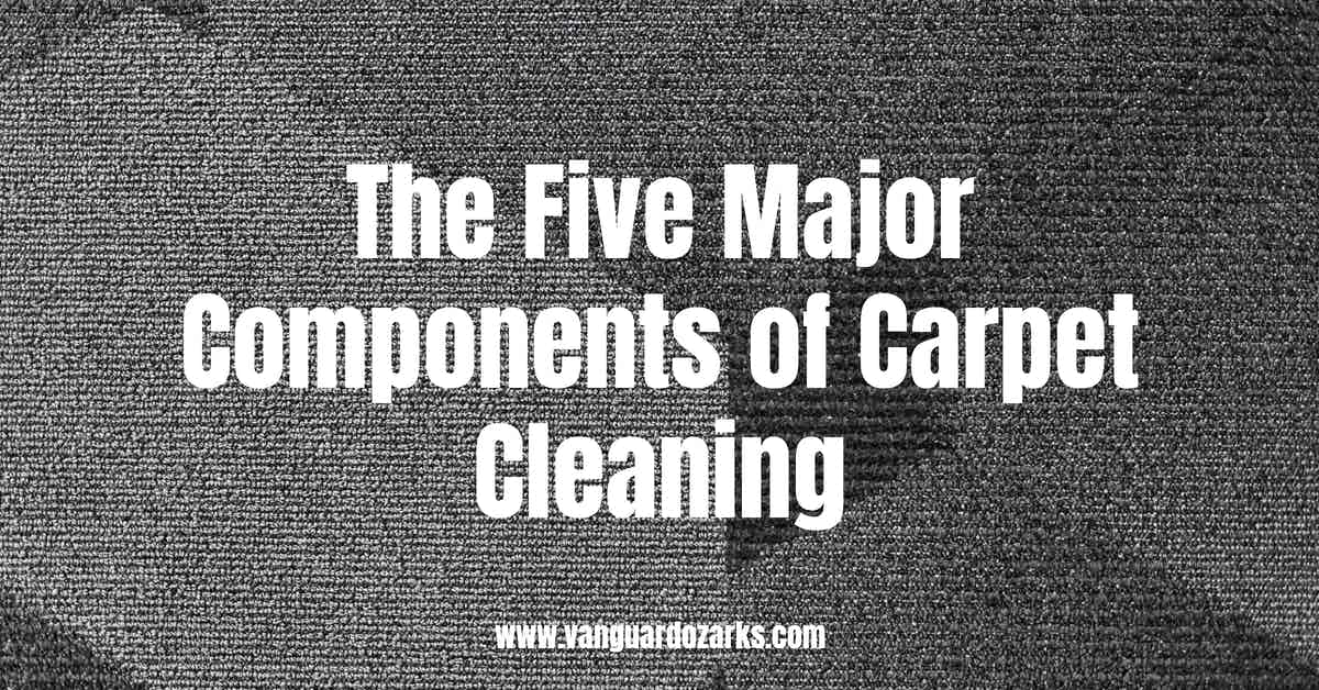 The Five Major Components of Carpet Cleaning