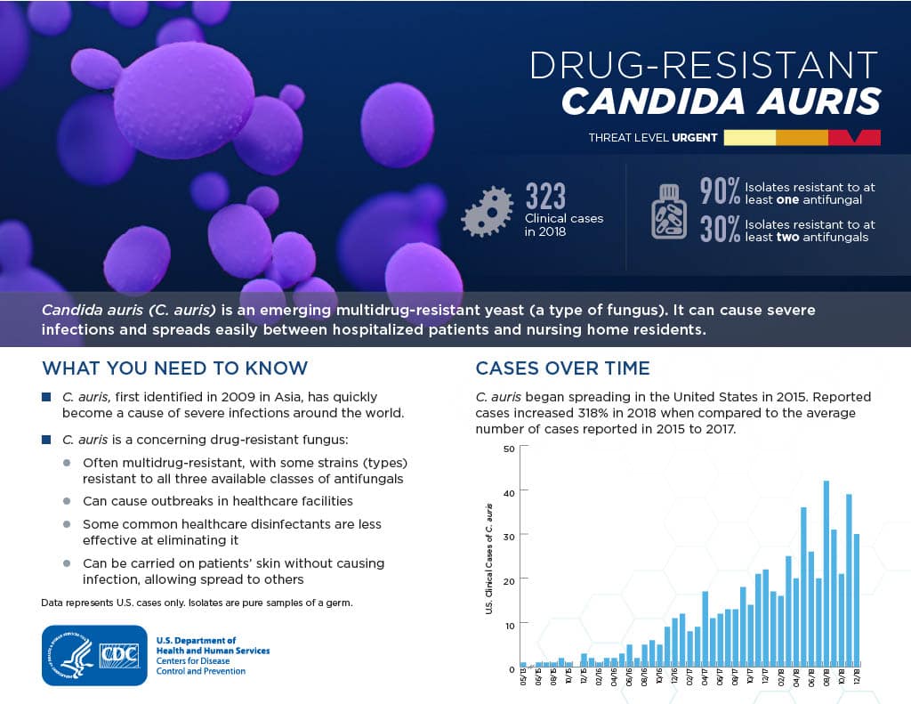 Candida auris fact sheet